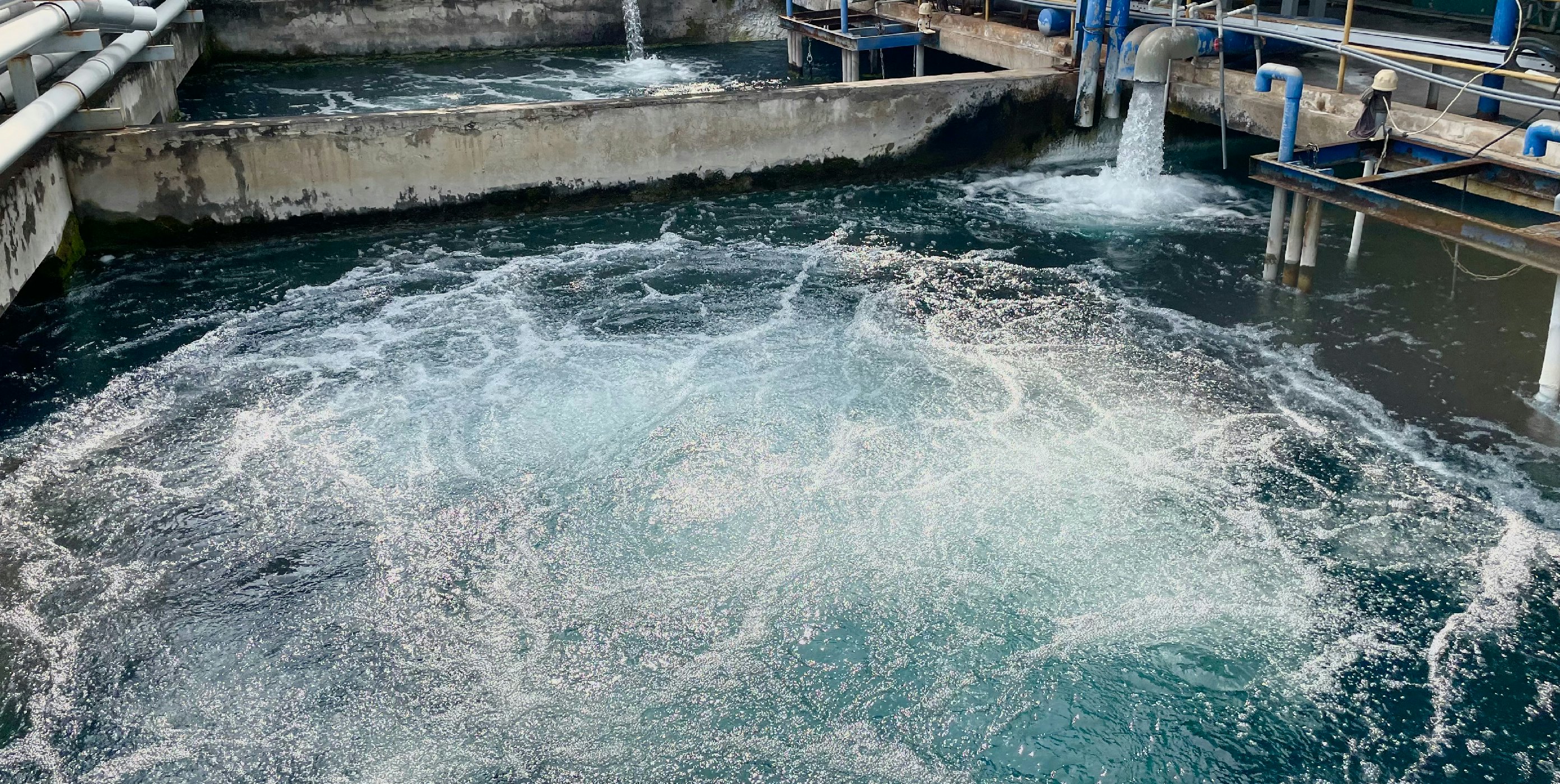 儒鴻入選為FTSE Russell (富時羅素)編製之台灣永續指數成分股